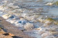 There are many dead jellyfish on the shores of the Sea of Ã¢â¬â¹Ã¢â¬â¹Azov. Royalty Free Stock Photo